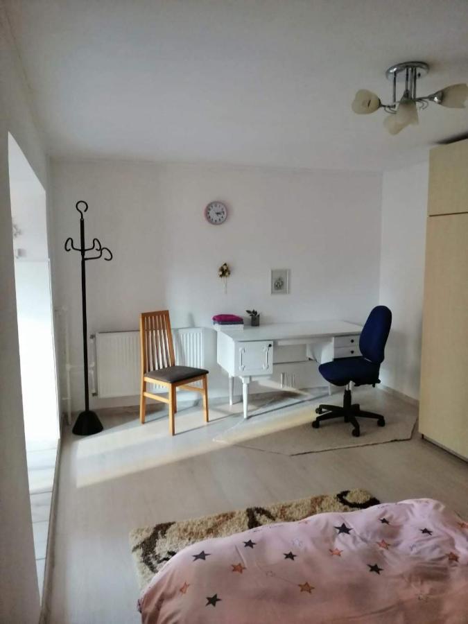 Moss'S Economy Apartment Timisoara Exterior photo